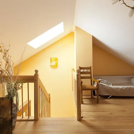 Apartament Rymarska *